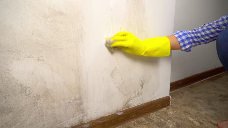 Best Air Quality Testing for Mold Spores  in Brewer, ME